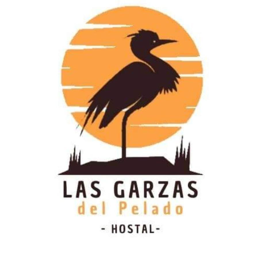Hostal Las Garzas Del Pelado Плаяс Екстер'єр фото