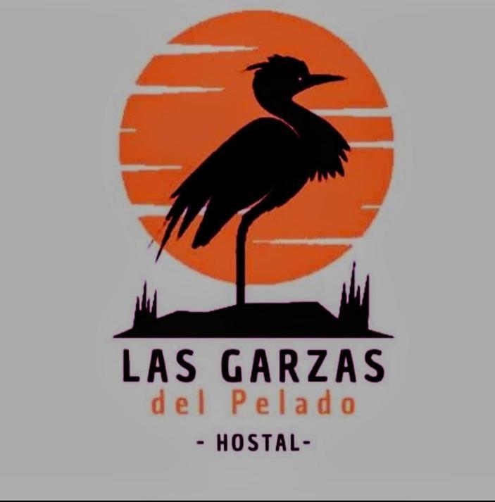 Hostal Las Garzas Del Pelado Плаяс Екстер'єр фото